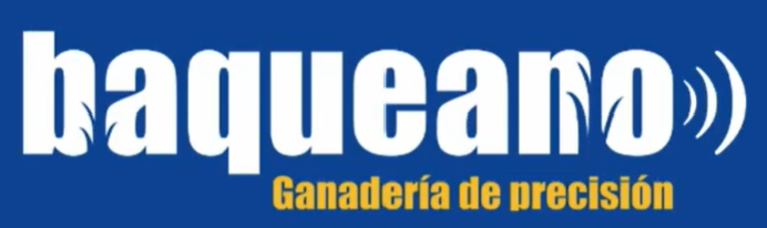 Baqueano